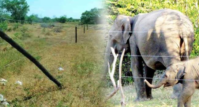 ආපදා හේතුවෙන් අලිවැට කිලෝමීටර් 838කට හානි..